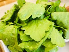 茼蒿-牛街·马辈儿涮肉(牛街二店)