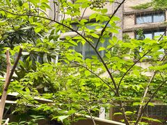 -谷咖啡·鲜花绿植花园餐厅