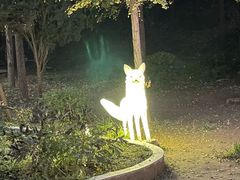 -淄博聊斋城景区