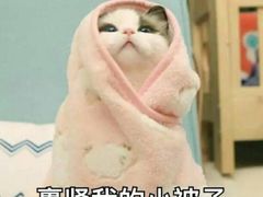 -茉沏(繁花中心店)