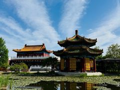 -曹州牡丹园