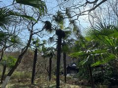 -南山风景名胜区