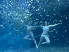-海合安青岛极地海洋公园