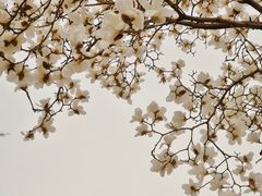 -西安市广仁寺