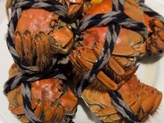 -晶丽香榭自助餐(南京大饭店)