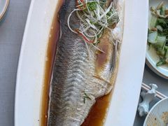 -翡翠江南(国贸商城店)