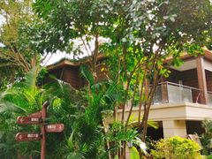 -碧桂园润杨溪谷温泉酒店