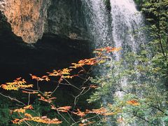 -龙苍沟森林公园