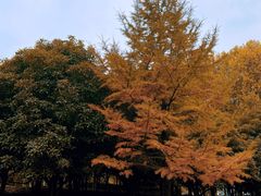 -白塘生态植物园