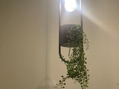 -滇咖啡体验店