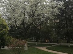 -陕西师范大学(雁塔校区)