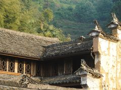 -杨家堂村