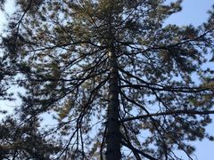 -延安杨家岭革命旧址