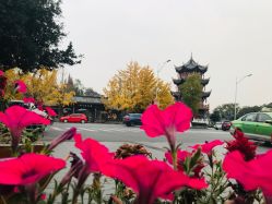 点击看大图 -爱弥儿月子中心(省医院店)