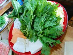 -东镇老火锅(长春路首店)