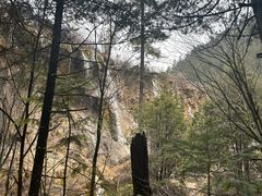 -九寨沟-树正沟