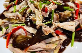 Jellyfish and Chicken Salad