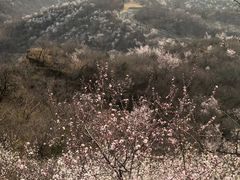 -龙泉峪长城