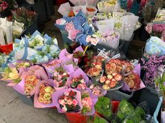 -真真老老(月河花鸟市场店)