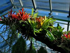 -国家植物园南园