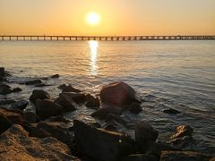 -宝安西湾红树林湿地公园