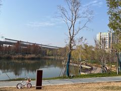 -洋湖国家湿地公园