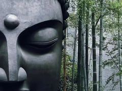 -杭州植物园