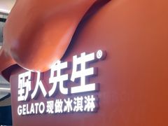 -野人先生现做冰淇淋(北京王府井东方新天地店)