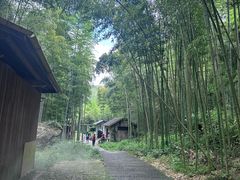 -山沟沟景区