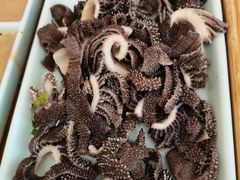 老北京爆肚-宛平李记小吃(东关街店)