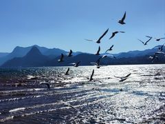 -滇池海埂公园