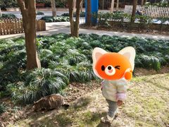 -长兴太湖图影湿地文化园