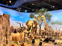 -陕西自然博物馆