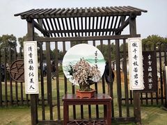 -香雪海