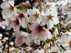 -同济大学(嘉定校区)