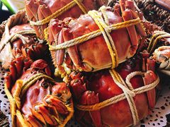 -秋月舫(阳澄湖湖滨中路店)