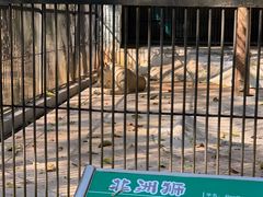 -广东茂名森林公园