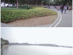 -海珠湖公园