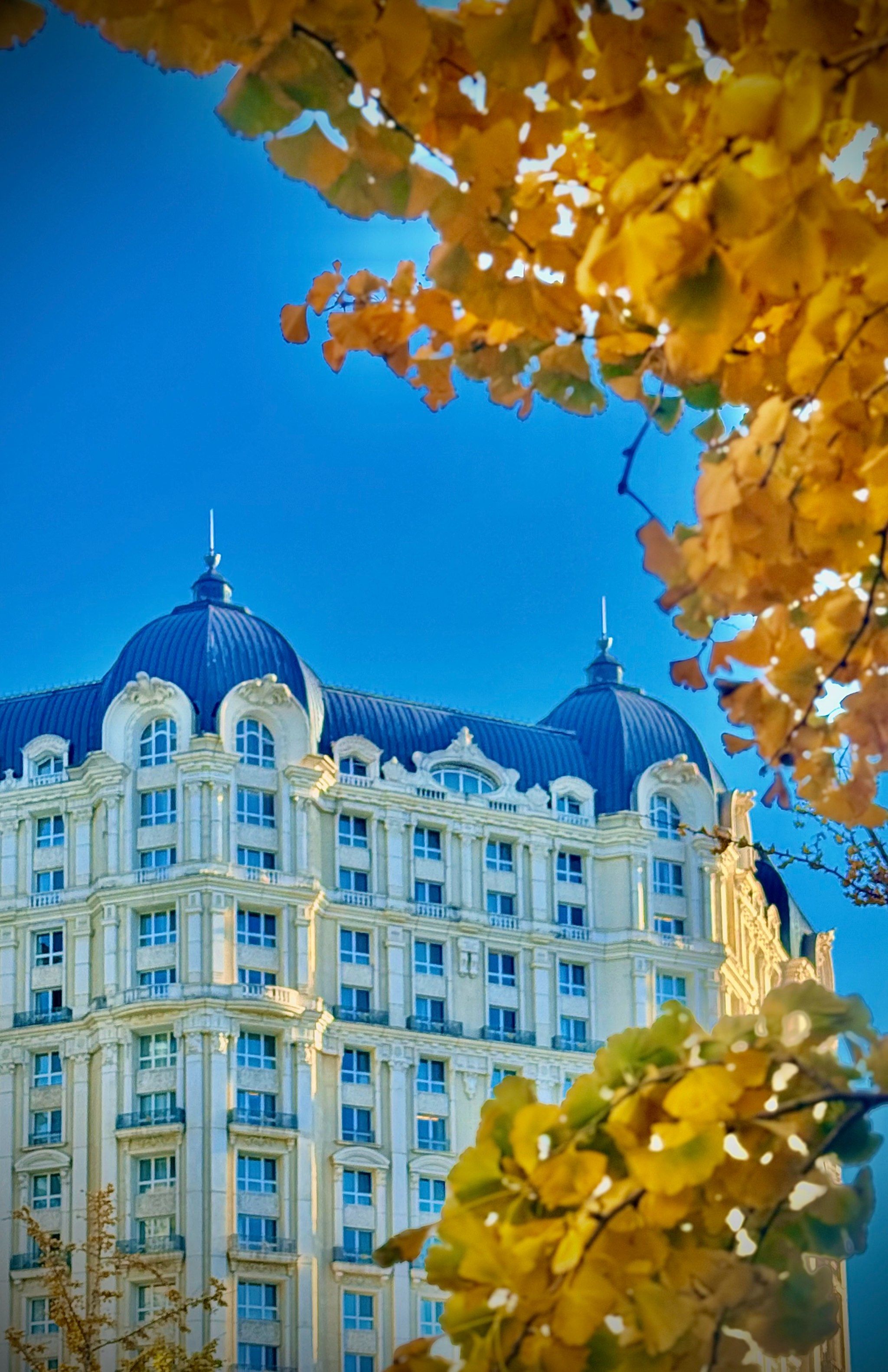 欧洲宫廷园林秋色即视感🌟颜值巅峰美的不像话