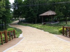 -同里国家湿地公园