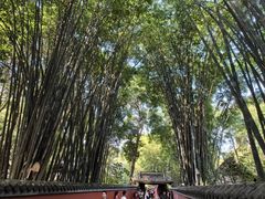 -成都杜甫草堂博物馆