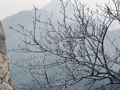 -居庸关长城