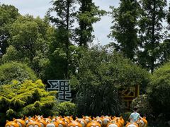 -上海长兴岛郊野公园