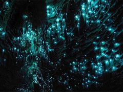 -怀托摩萤火虫洞