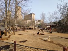 -大连森林动物园