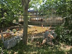 -大连森林动物园