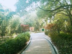 -同里国家湿地公园