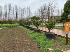 -前小桔亲子创意农场·草莓采摘·露营烧烤