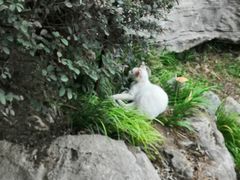-云龙山