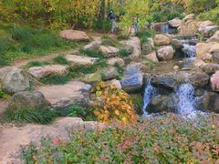 -大连植物园